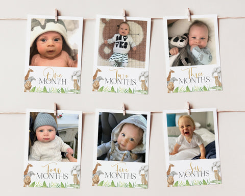 First Year Photos, 1st Birthday Milestone Photo, Baby's First Year Month Photo, Monthly Photos, First Birthday Decor, Wild One Birthday