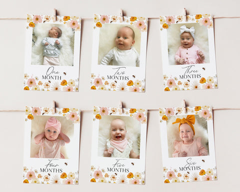 Bee First Year Photos, Birthday Milestone Photos, Baby's First Year Month Photos, Monthly Photo Banner, First Bee Day Photo Banner Floral