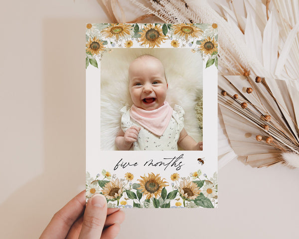 Bee First Year Photos, Sunflower Birthday Milestone Photos, Baby's First Year Month Photos, Monthly Photo Banner, First Bee Day Photo Banner