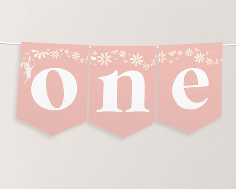 Some Bunny One High Chair Banner Printable, 1st Birthday Banner High Chair, Bunny 1st Birthday Decor, Chair Banner, 1st Birthday High Chair